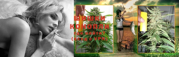 ПСИЛОЦИБИНОВЫЕ ГРИБЫ Белокуриха