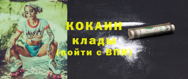ПСИЛОЦИБИНОВЫЕ ГРИБЫ Белокуриха