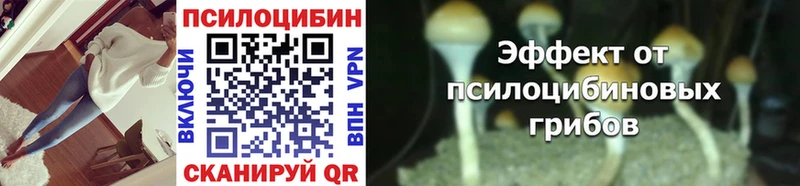 Галлюциногенные грибы MAGIC MUSHROOMS  даркнет сайт  Болотное 